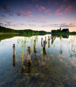 Sonnenuntergang am Gabelsee, Rest eines Steges und Schilfhalme, Falkenhagen (Mark), Brandenburg, Deutschland Sonnenuntergang am Gabelsee, Rest eines Steges und Schilfhalme, Falkenhagen (Mark), Brandenburg, Deutschland